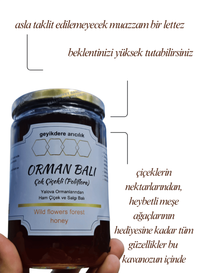 Geyikdere Orman Balı (PoliFlora) 850 gr