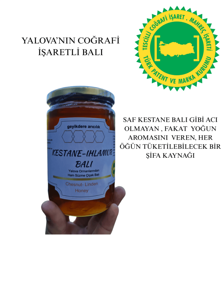 Yalova Kestane-Ihlamur Balı  850 gr