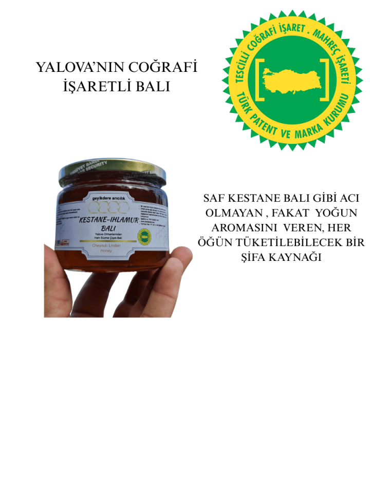 Yalova Kestane Ihlamur Balı 400 gr